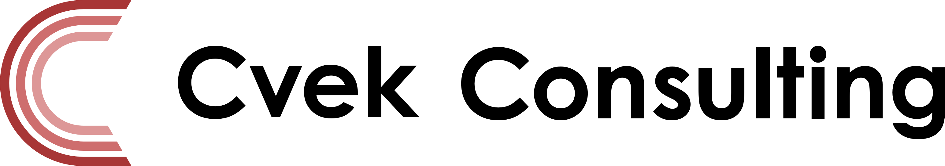 Cvek Consulting
