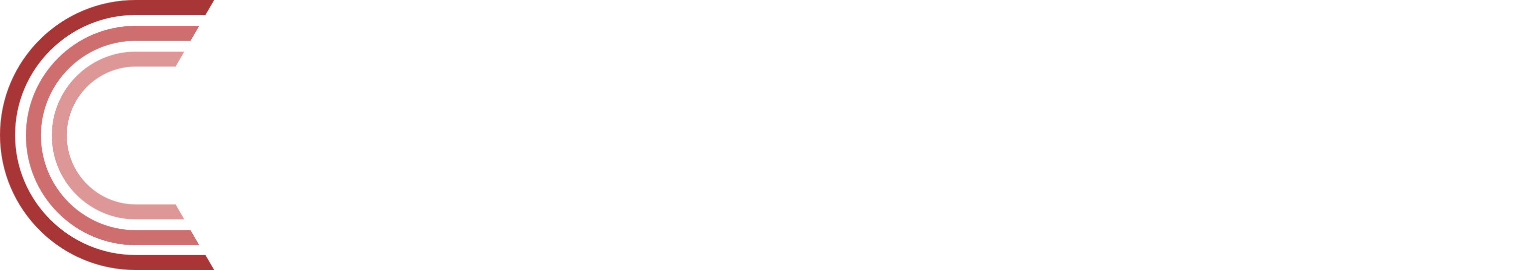 Cvek Consulting